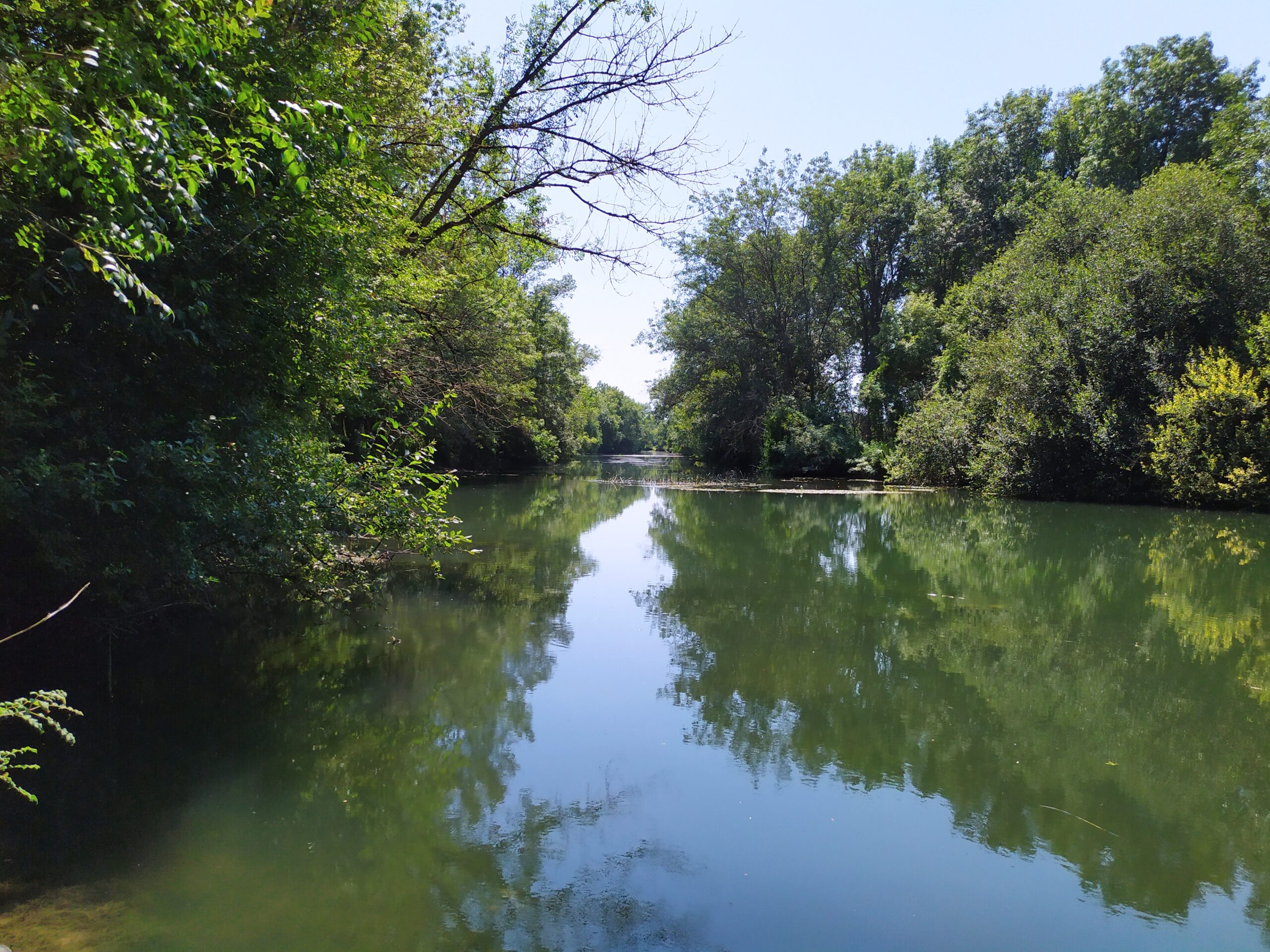 Seugne aval - Saint-Léger