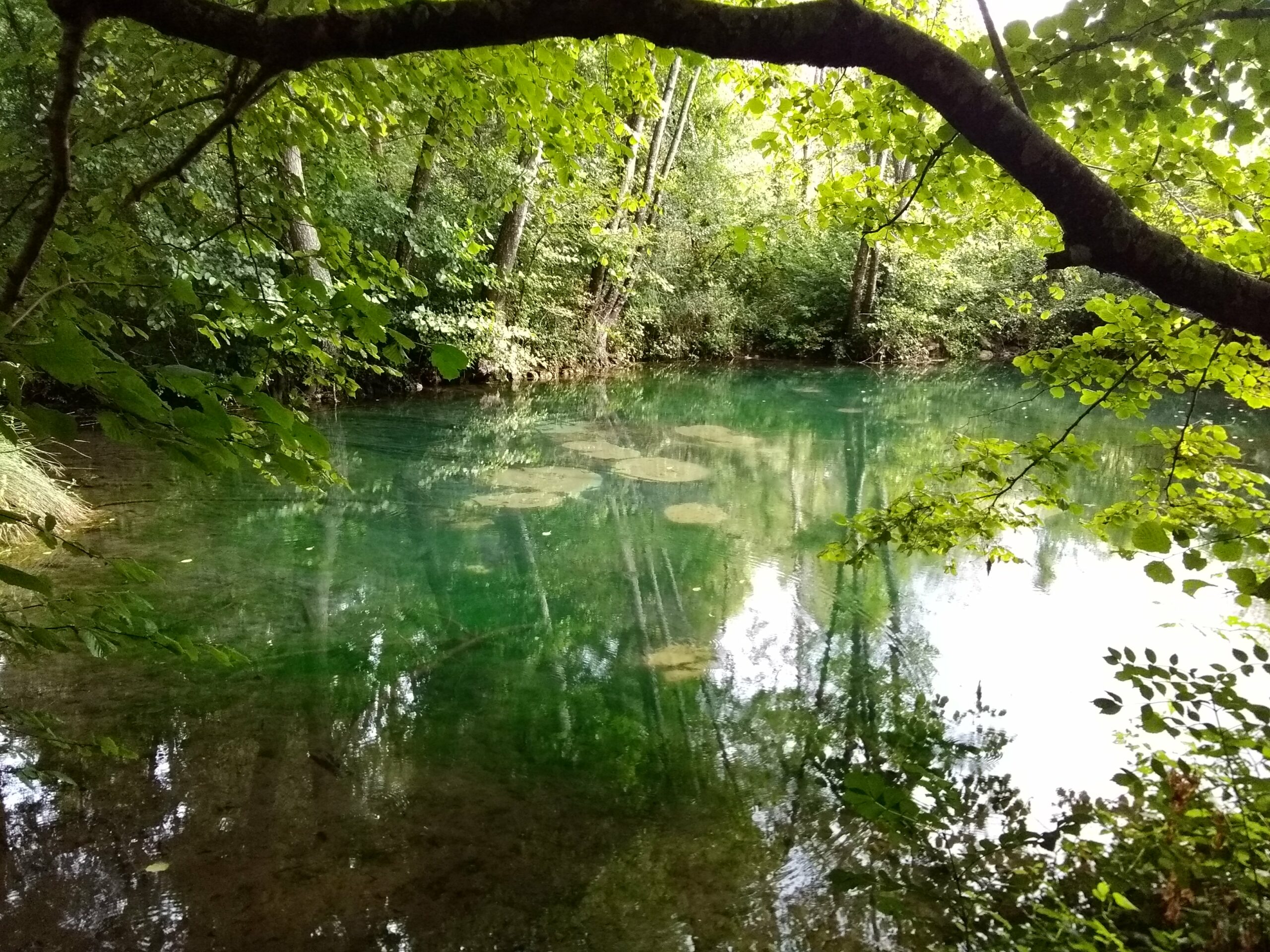 Sources bleu de la Maine à Clion