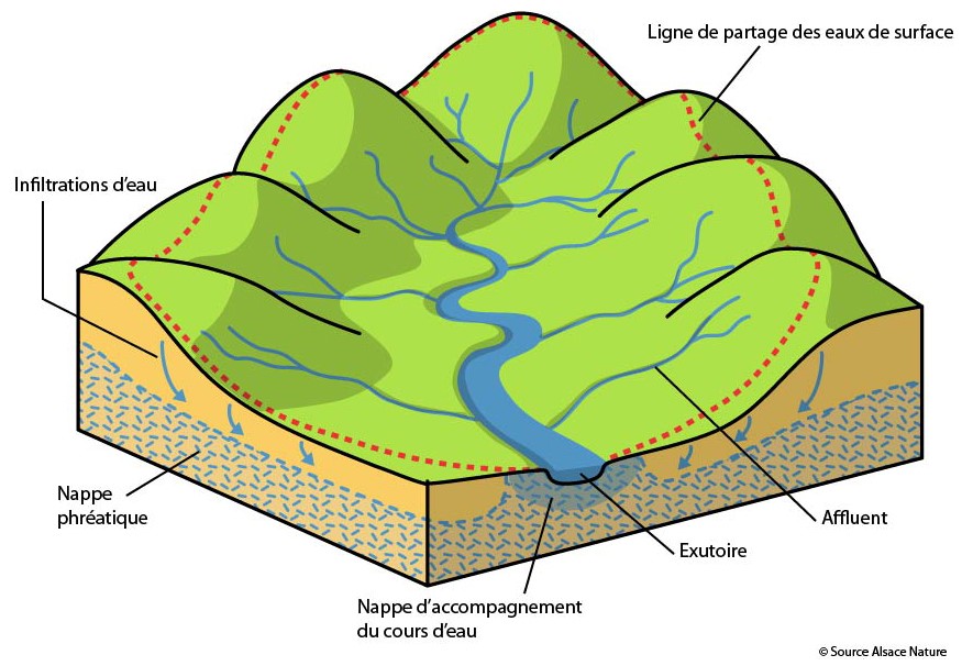 Fonctionnement bassin versant © Alsace Nature - www.alsacenature.org