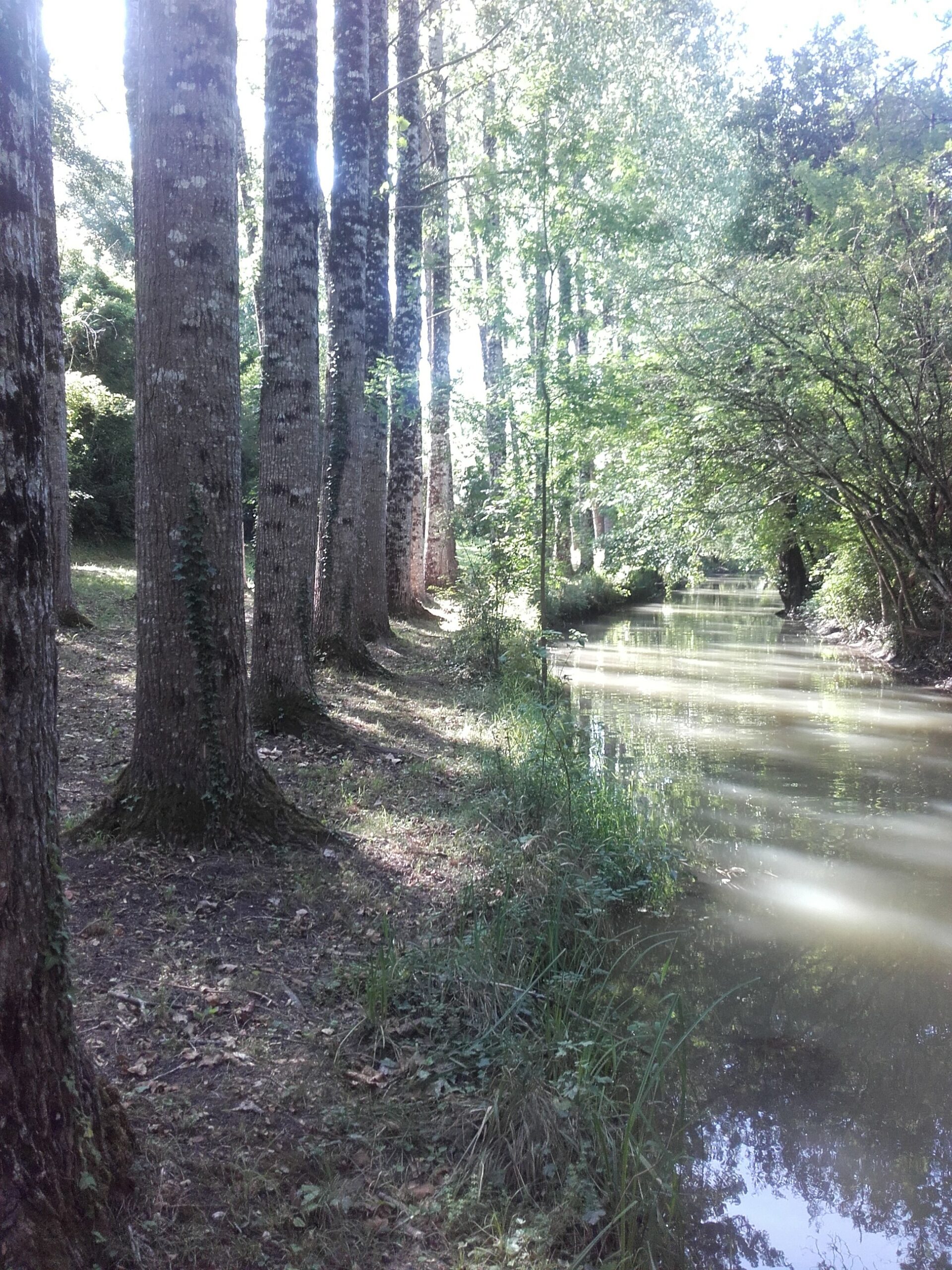 Uniformisation des habitats