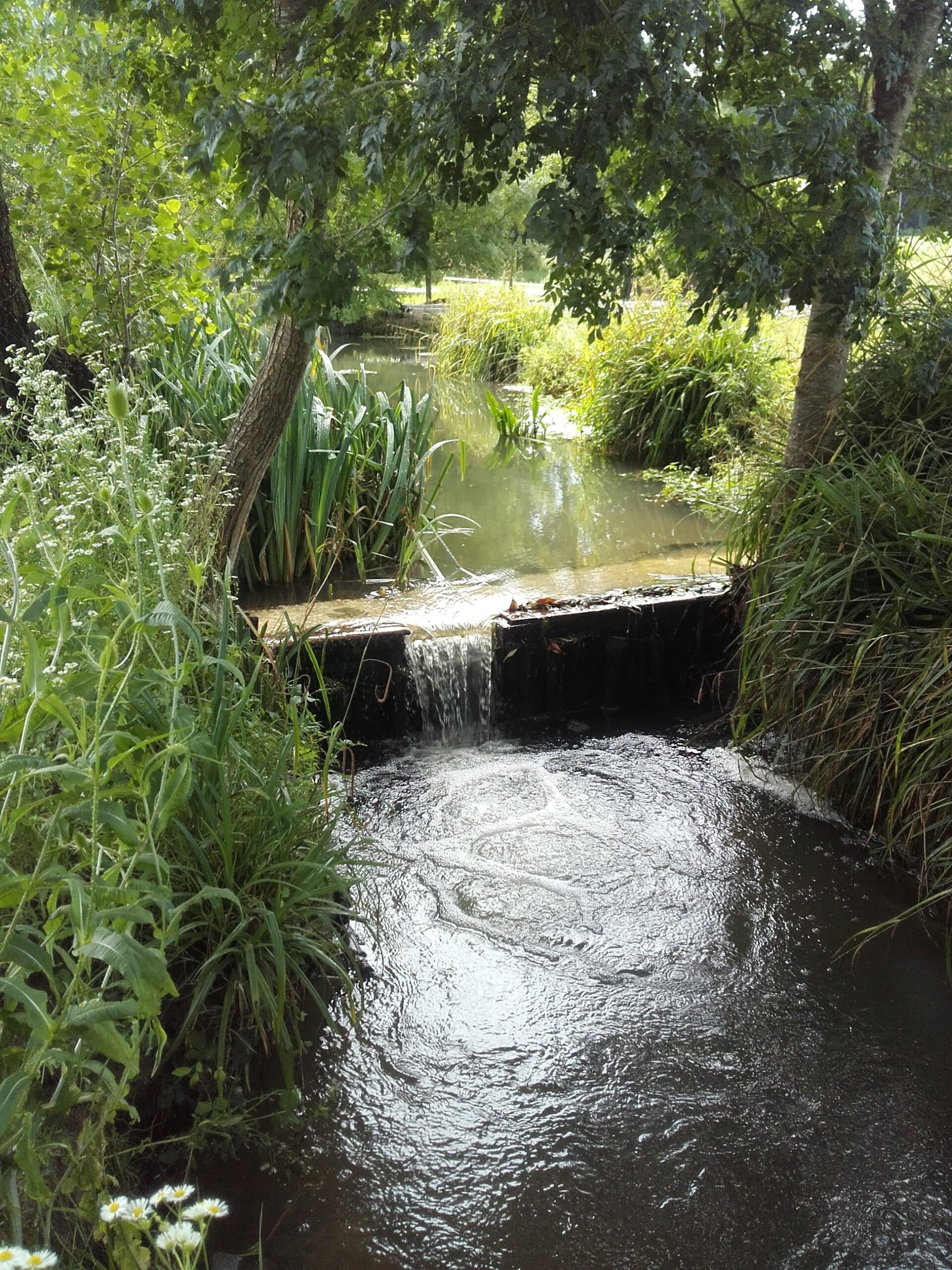 Obstacle à la continuité écologique