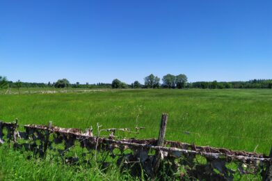 Prairie