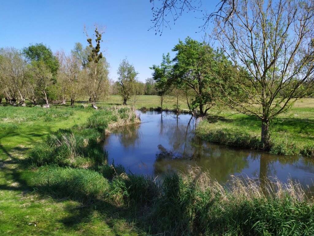 Restauration des cours d’eau