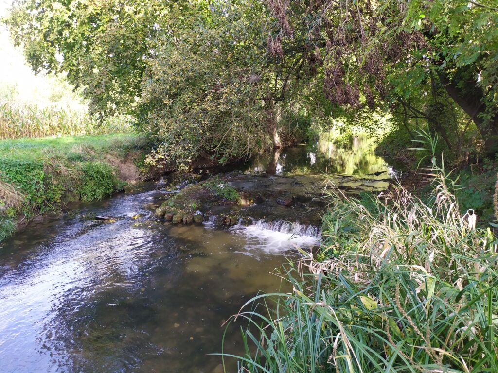 continuité écologique avant travaux 2021