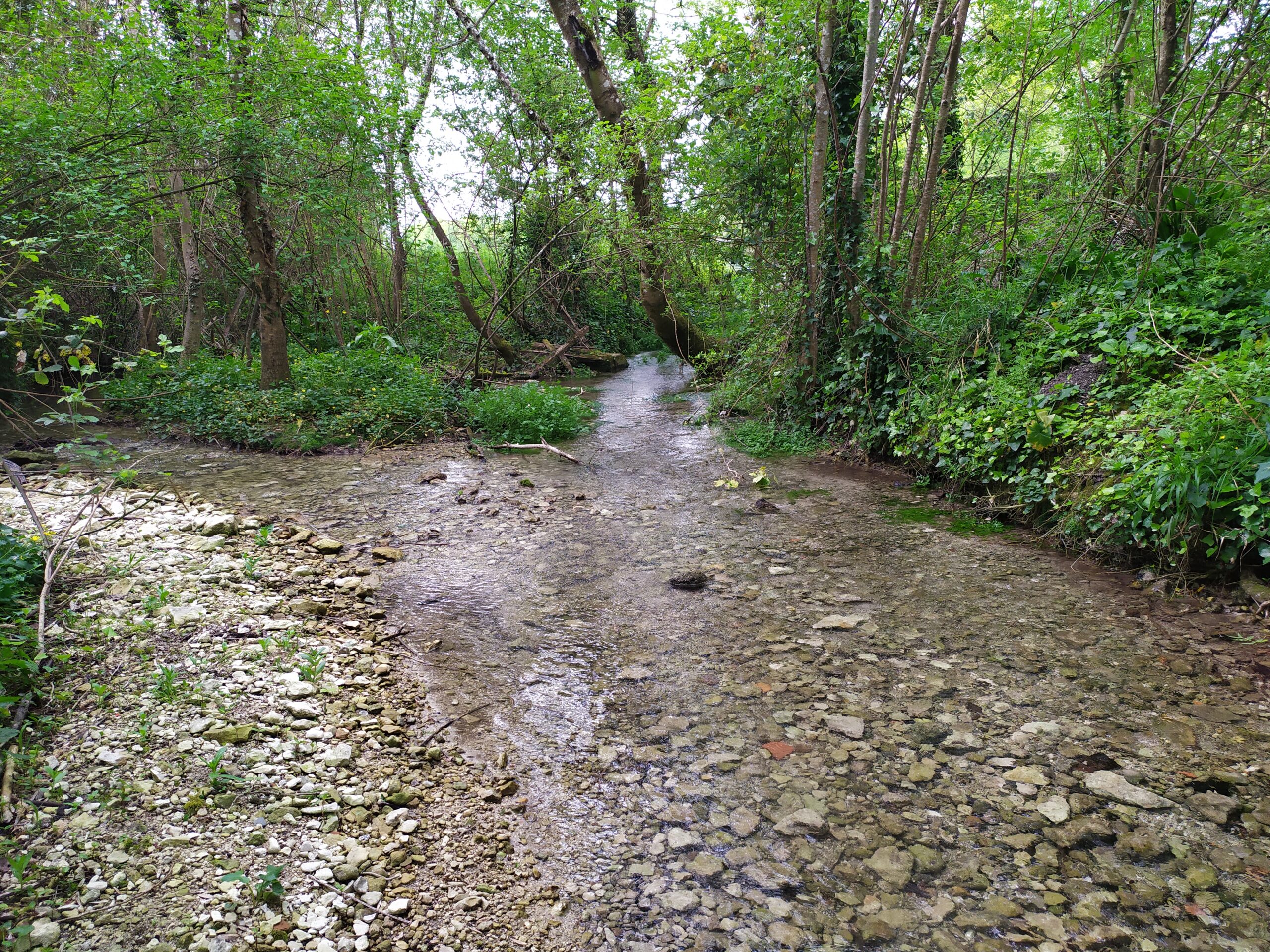 Le Gua à Pérignac