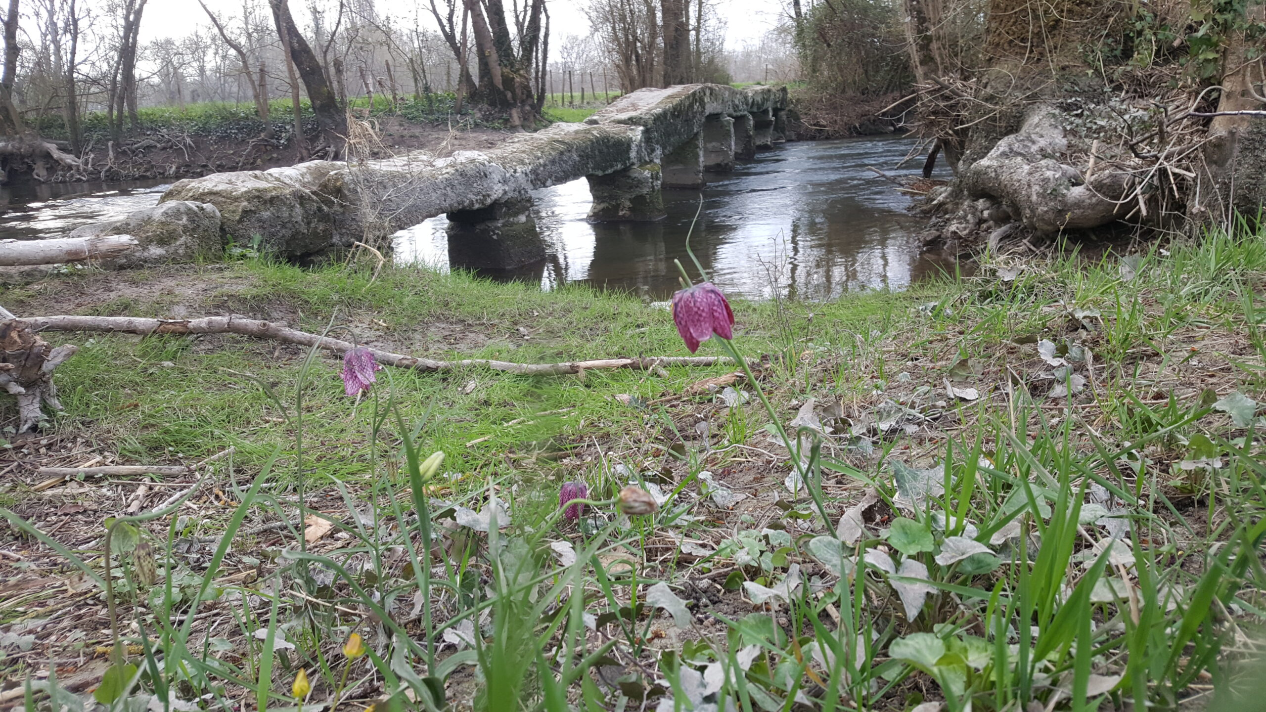 Le Trèfle - Neuillac - Pont de Romas